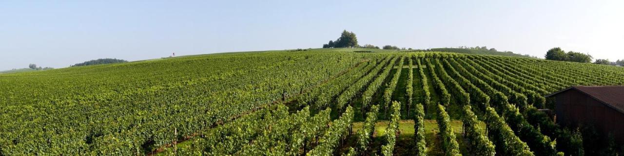 Ferienhof Berger UG Hagnau am Bodensee Exterior foto